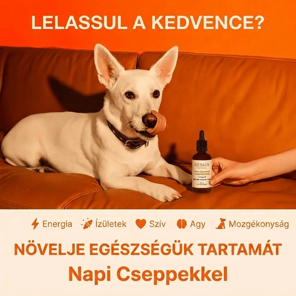 Keskia Protocol