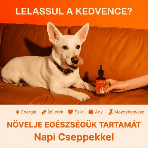 Keskia Protocol
